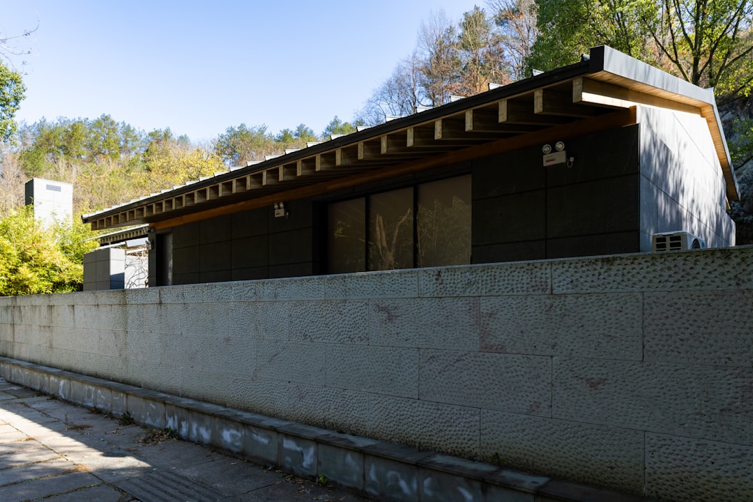 modern-house-with-a-long-sloping-roof-and-stone-wall-rkkcwocvcbm
